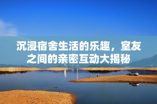 沉浸宿舍生活的乐趣，室友之间的亲密互动大揭秘