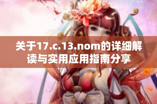关于17.c.13.nom的详细解读与实用应用指南分享
