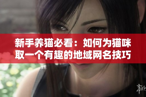 新手养猫必看：如何为猫咪取一个有趣的地域网名技巧分享