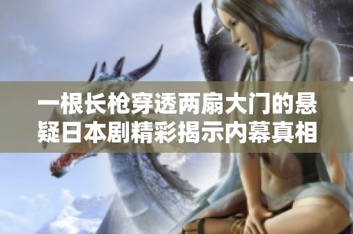 一根长枪穿透两扇大门的悬疑日本剧精彩揭示内幕真相