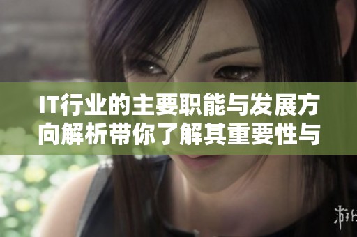 IT行业的主要职能与发展方向解析带你了解其重要性与前景