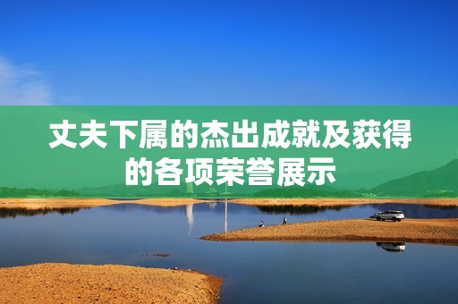 丈夫下属的杰出成就及获得的各项荣誉展示
