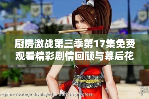 厨房激战第三季第17集免费观看精彩剧情回顾与幕后花絮分析