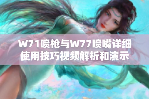W71喷枪与W77喷嘴详细使用技巧视频解析和演示