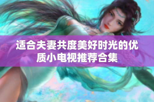 适合夫妻共度美好时光的优质小电视推荐合集