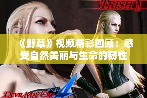 《野草》视频精彩回顾：感受自然美丽与生命的韧性
